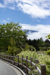 Fototapeta na wymiar landscape view of mount Fuji enshrouded in cloud with clear blue sky