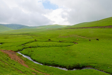 Fototapeta na wymiar Meandering stream with mountains and clouds at The Persembe Plateau at Ordu, Turkey