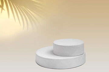 Podium for Cosmetics, Soap, Items Presentation. Abstract Minimal Geometric Sphere. Cylinder Two Forms, Soft Shadow. Scene to Show Product, Object. Showcase Display Case. Palm Leaf, Nude Tones Ad Stand