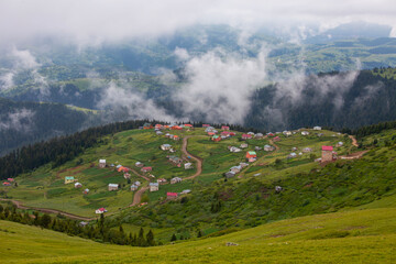 Giresun Province, Kulakkaya highland lush nature and houses and animals in the highland