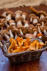 food, bread, meal, snack, fresh, white, healthy, bowl, rown, mushroom, baked, dinner, gourmet, fruit, appetizer, vegetable, cuisine, plate, dish, meat, isolated, sweet, dessert, diet, cooking