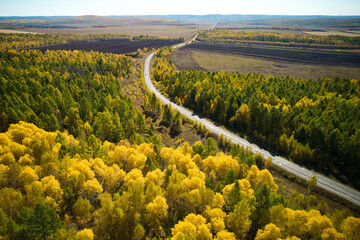 Beautiful road through the autumn forest from the air on a sunny autumn day. Aerial view