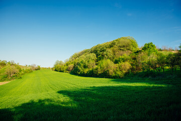 Fototapeta na wymiar A bright green field surrounded by trees against a blue sky background. Idyllic rural blue green background