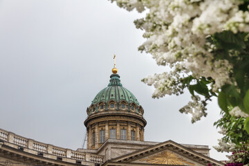 Fototapeta premium dome of building Kazan Orthodox Cathedral and blooming white lilacs in defocus on Nevsky Prospect in St. Petersburg in summer