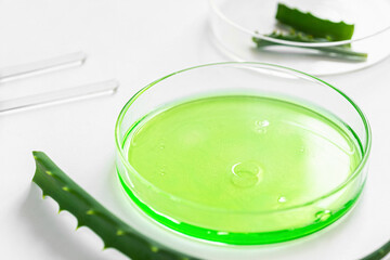 Green liquid in a petri dish. Drop the solution from the pipette. Aloe vera leaf nearby. Cosmetics laboratory.
