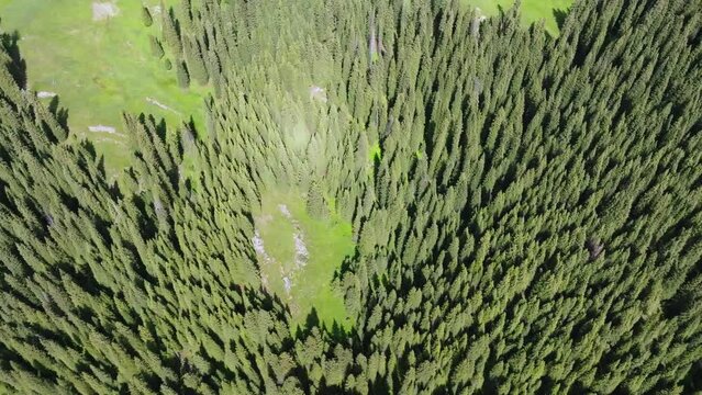 Aerial photography of forest and grassland on a cloudy day