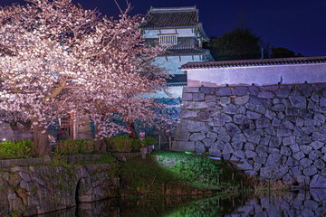 潮見櫓とライトアップされた桜