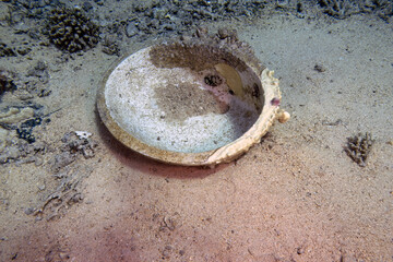 Cargo from the wreck of the Yolanda at the tip of the Sinai Peninsula in Egypt