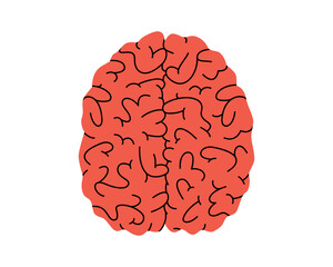 Hand drawn cute illustration human brain view from above. Flat vector internal organ, intellect symbol in doodle style. Mental health, illness, medicine sticker, icon. Isolated on white background.