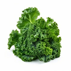 A fresh curly kale isolated on white background. Fresh raw organic vegetable. Generative AI.