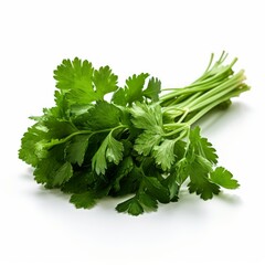 A fresh parsley isolated on white background. Fresh raw organic vegetable. Generative AI.