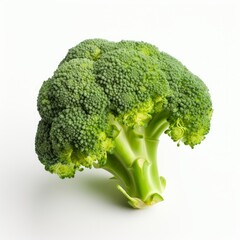 A fresh broccoli isolated on white background. Fresh raw organic vegetable. Generative AI.