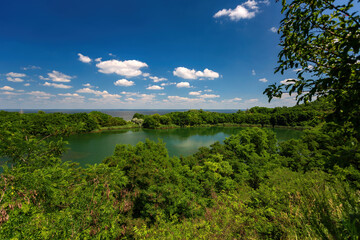 Fototapeta na wymiar vibrant green vegetation, lake amidst trees and the sea on the horizon