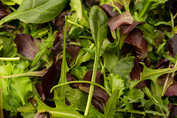 Fresh mix of salads with edible flowers. Top view.