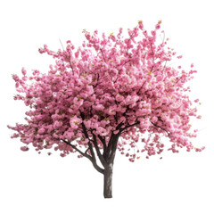 Obraz na płótnie Canvas Pink cherry blossom tree isolated on transparent background, Blooming tree in Spring PNG, Generative AI