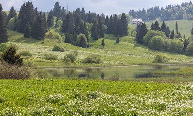 Paysage des Hautes Combes le long du lac de l'Embouteilleux , un espace montagneux situé dans le sud du massif du Jura près de La Pesse au printemps
