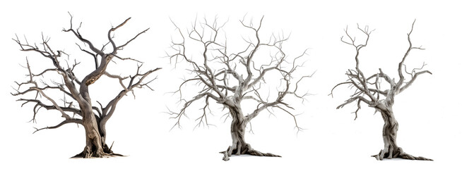 Dead trees with branches isolated. PNG element, Generative AI - obrazy, fototapety, plakaty