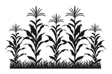 Maize field silhouette. Corn farm black vector illustration. Cultivation of crops