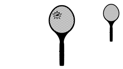 Electric Mosquito Swatter