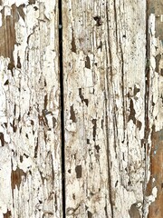 Obraz premium old wood background