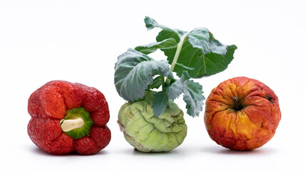 Altes abgelaufenes Obst und Gemüse
