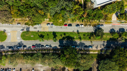 Visão aérea de uma avenida dentro da cidade universitária captada do alto entre as árvores de...