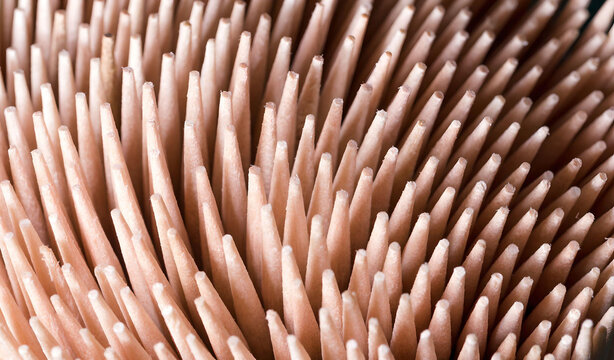 wooden toothpicks close up. Macro photo

