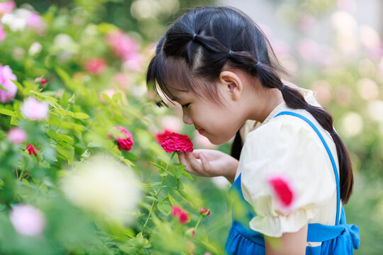 Smell sensory learning from flower. Cute Asian kid exploring natural environment through outdoor activity like play, touch and see the real things is the best method for education in children.