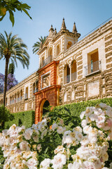 Fototapeta premium Royal Alcazar of Seville, Spain