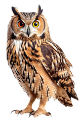 Owl isolated on the transparent background PNG. AI generative.