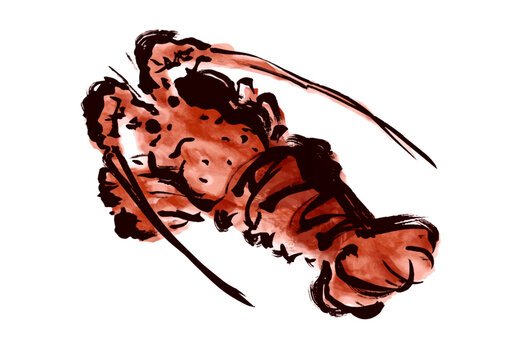 伊勢海老 Images – Browse 1,883 Stock Photos, Vectors, and Video