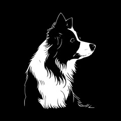 Fototapeta premium Border Collie - High Quality Vector Logo - Vector illustration ideal for T-shirt graphic