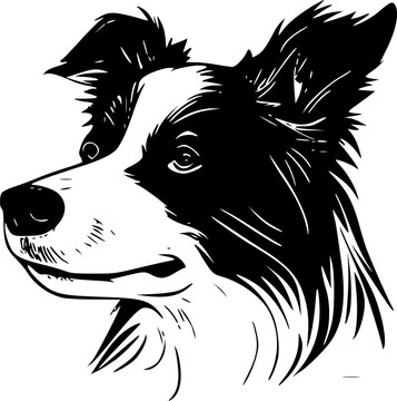 recommend clip art: Border Collie | Black and White Vector illustration