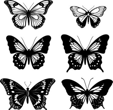 Butterflies - Black and White Isolated Icon - Vector illustration