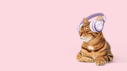 Cute ginger cat in headphones on a pink background, copy space banner or listen to music