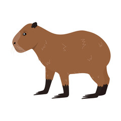 Cartoon Capybara animal isolated on white background. Capybara character cute vector illustration