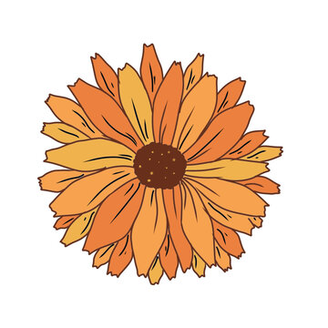Illustration orange and yellow sunflower design. Hand drawn digital art for your graphic design