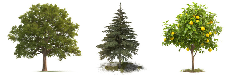 Fototapeta premium Collection of trees isolated on transparent background, Generative Ai