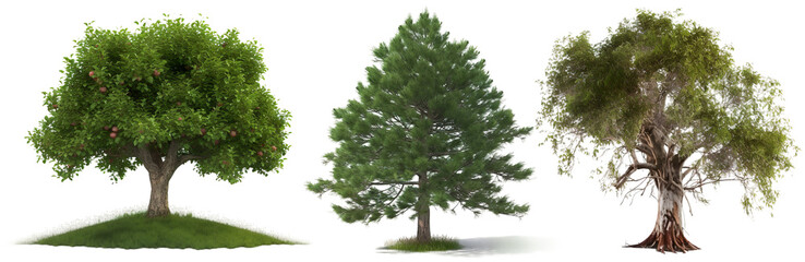 Collection of trees isolated on transparent background, Generative Ai