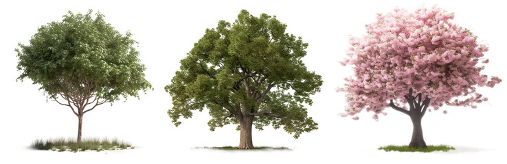 Fototapeta premium Collection of trees isolated on transparent background, Generative Ai