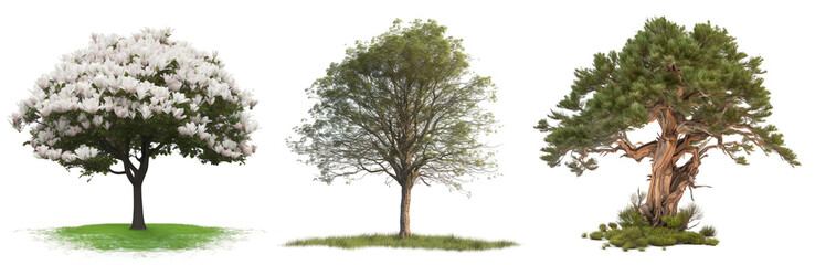 Collection of trees isolated on transparent background, Generative Ai