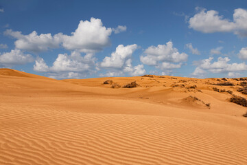 Fototapeta na wymiar A picturesque landscape with desert dunes on a sunny summer day. Kalmykia, Russia