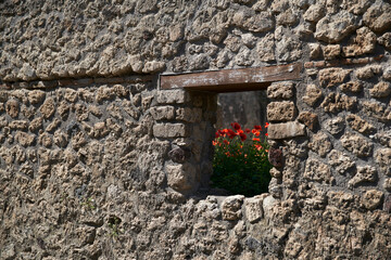 Window to Nature