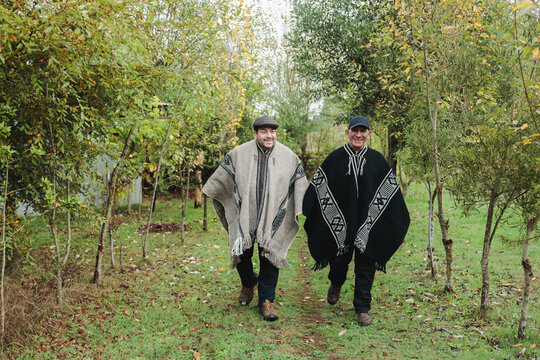Cheerful senior men walking in garden together