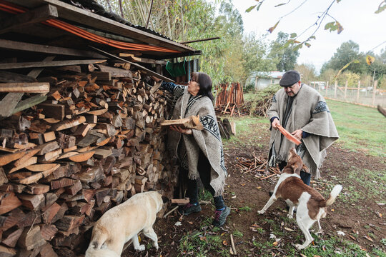Calm senior couple choosing wooden logs in village