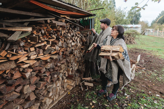 Calm senior couple choosing wooden logs in village