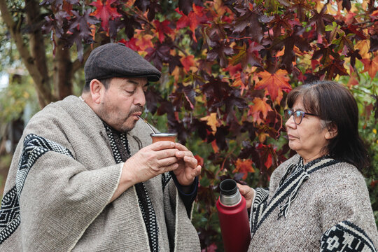 Calm elderly couple drinking hot yerba mate in garden