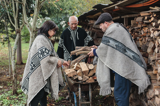 Group of mature people collecting wooden logs in yard