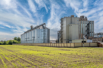 agro silos granary elevator with seeds cleaning line on agro-processing manufacturing plant for processing drying cleaning and storage of agricultural products - obrazy, fototapety, plakaty