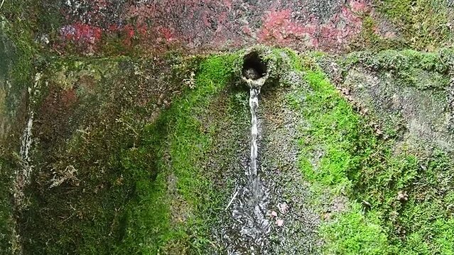 Banja Koviljaca, Serbia, Guchevo, Loznica. Spring Three sources. Healing mineral natural water flowing from Mount Guchevo. Moss and lichens on the rock. Water drops. Slow motion